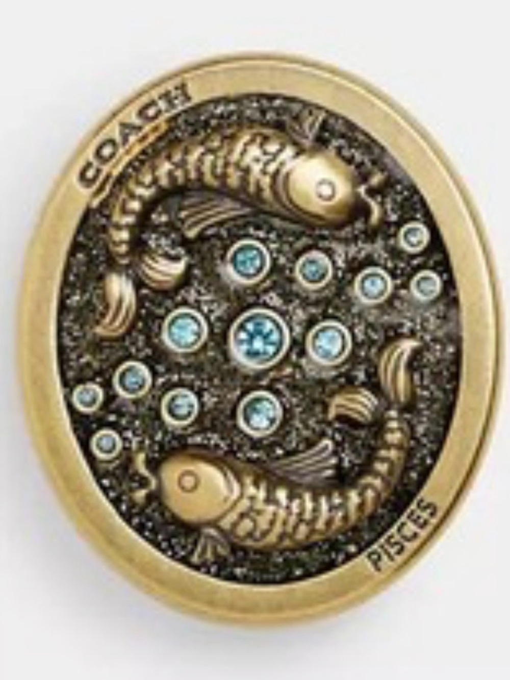 COACH Pisces Zodiac Souvenir Pin CBV69 NWT Sealed Crystal Collectible